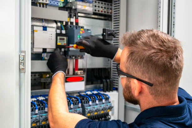 Best Electric Panel Repair  in Zellwood, FL